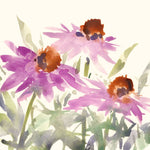 Daisy Garden Views II - Wall Art - By Samuel Dixon- Gallery Art Company