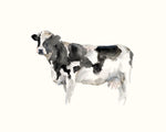 Farm Animal Study III - Wall Art - By Ethan Harper- Gallery Art Company