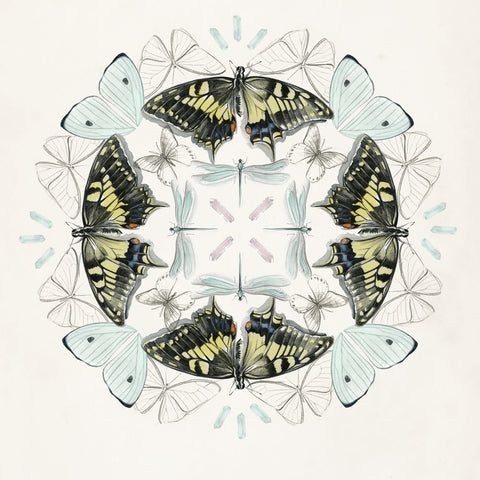 Butterfly Mandala I - Wall Art - By Jennifer Paxton Parker- Gallery Art Company