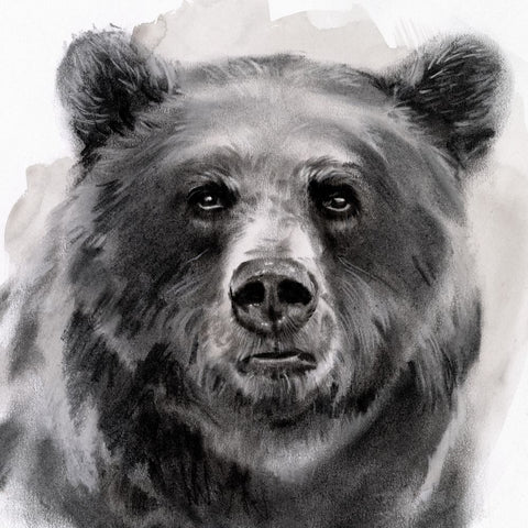 Bear Grin II - Wall Art - By Jennifer Paxton Parker- Gallery Art Company