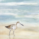 Speckled Willet I - Wall Art - By Victoria Borges- Gallery Art Company