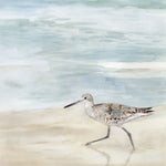 Speckled Willet II - Wall Art - By Victoria Borges- Gallery Art Company