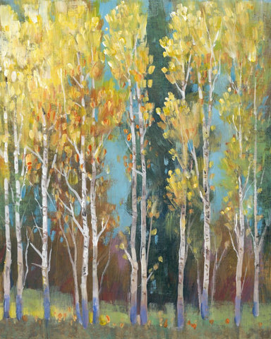 Aspen Grove I - Wall Art - By Tim OToole- Gallery Art Company