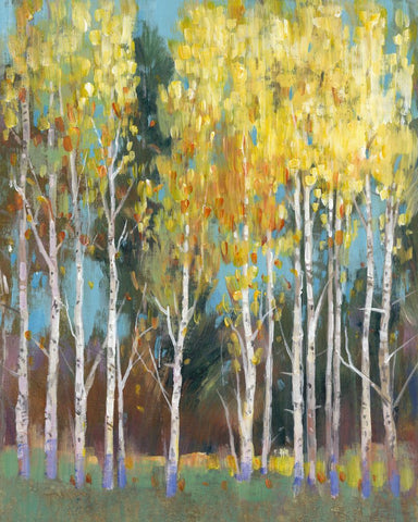 Aspen Grove II - Wall Art - By Tim OToole- Gallery Art Company