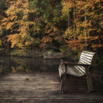 Autumn Rest - Wall Art - By Danny Head- Gallery Art Company