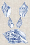 Navy & Linen Shells III - Wall Art - By Vision Studio- Gallery Art Company