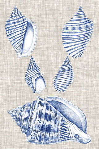 Navy & Linen Shells III - Wall Art - By Vision Studio- Gallery Art Company