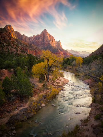 Zion National Park - Wall Art - By Michael Zheng- Gallery Art Company