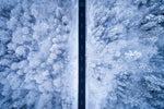 A Frosty Road - Wall Art - By Daniel Gastager- Gallery Art Company