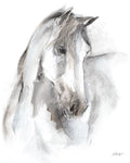 Watercolor Equine Study I - Wall Art - By Ethan Harper- Gallery Art Company