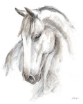 Watercolor Equine Study II - Wall Art - By Ethan Harper- Gallery Art Company