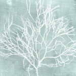 Seaweed on Aqua II - Wall Art - By Vision Studio- Gallery Art Company