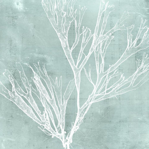 Seaweed on Aqua VII - Wall Art - By Vision Studio- Gallery Art Company