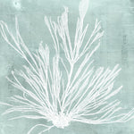 Seaweed on Aqua IX - Wall Art - By Vision Studio- Gallery Art Company