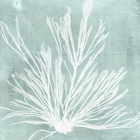 Seaweed on Aqua IX - Wall Art - By Vision Studio- Gallery Art Company