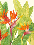 Watercolor Tropical Flowers IV - Wall Art - By Tim OToole- Gallery Art Company