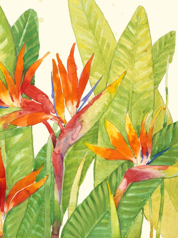 Watercolor Tropical Flowers IV - Wall Art - By Tim OToole- Gallery Art Company