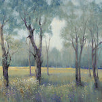 Morning Mist - Wall Art - By Tim OToole- Gallery Art Company