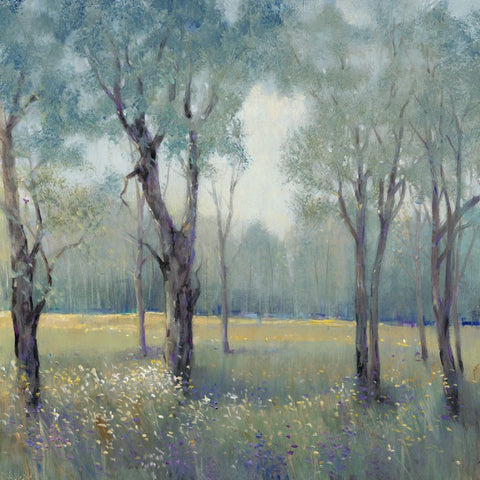 Morning Mist - Wall Art - By Tim OToole- Gallery Art Company