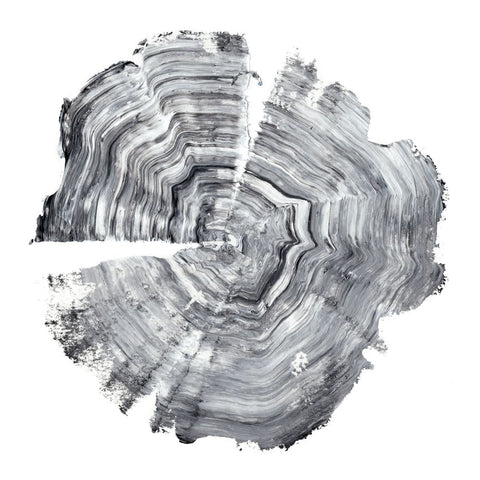 Tree Ring Abstract IV - Wall Art - By Ethan Harper- Gallery Art Company