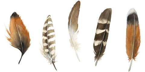 Red Rock Feathers I - Wall Art - By Grace Popp- Gallery Art Company