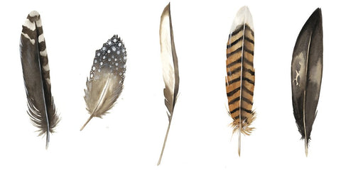 Red Rock Feathers II - Wall Art - By Grace Popp- Gallery Art Company