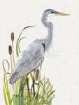 Waterbirds & Cattails I - Wall Art - By Naomi McCavitt- Gallery Art Company