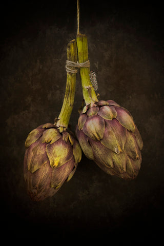 Artichoke - Wall Art - By Alida van Zaane- Gallery Art Company