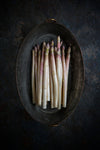 White asparagus - Wall Art - By Diana Popescu- Gallery Art Company