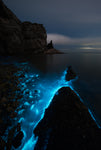 Fluorescent Sea - Wall Art - By Shanyewuyu- Gallery Art Company