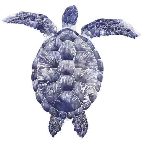 Marine Turtle I - Wall Art - By Grace Popp- Gallery Art Company