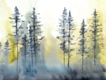 Shadow Forest I - Wall Art - By Chariklia Zarris- Gallery Art Company