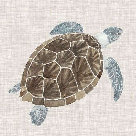 Sea Turtle I - Wall Art - By Naomi McCavitt- Gallery Art Company