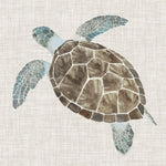 Sea Turtle II - Wall Art - By Naomi McCavitt- Gallery Art Company