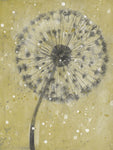 Dandelion Abstract I - Wall Art - By Tim OToole- Gallery Art Company