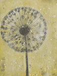 Dandelion Abstract II - Wall Art - By Tim OToole- Gallery Art Company