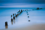 Sentinals - Wall Art - By Katherine Gendreau- Gallery Art Company