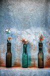 Lovely little flowers - Wall Art - By Afshin saeidinia- Gallery Art Company