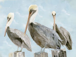 Soft Brown Pelican III - Wall Art - By Stellar Design Studio- Gallery Art Company