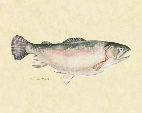 Catch of the Day III - Wall Art - By Emma Scarvey- Gallery Art Company