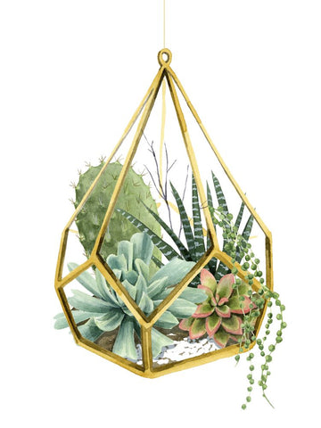 Wild Terrarium II - Wall Art - By Grace Popp- Gallery Art Company