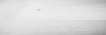 Black & White Water Panel XVI - Wall Art - By James McLoughlin- Gallery Art Company
