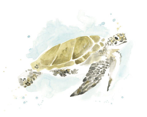 Watercolor Sea Turtle Study I - Wall Art - By June Erica Vess- Gallery Art Company