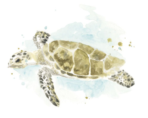 Watercolor Sea Turtle Study II - Wall Art - By June Erica Vess- Gallery Art Company