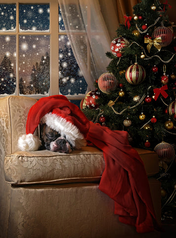 Waiting for Santa - Wall Art - By DDiArte- Gallery Art Company