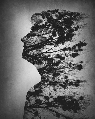 Essence of life - Wall Art - By Dusan Macko- Gallery Art Company