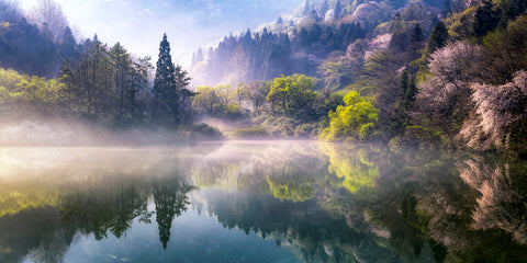 Morning calm - Wall Art - By Gwangseop eom- Gallery Art Company