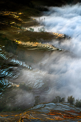 Colorful rice terraces - Wall Art - By Hua Zhu- Gallery Art Company