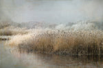 Wintermorning - Wall Art - By Nel Talen- Gallery Art Company