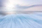 fly over - Wall Art - By Uschi Hermann- Gallery Art Company